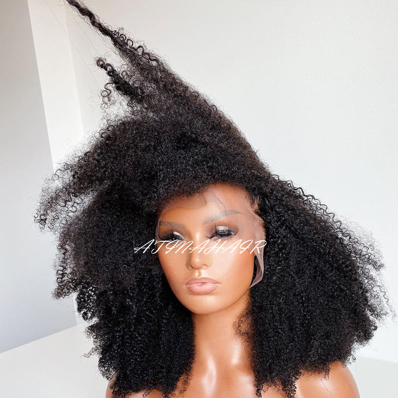 Afro Kinky Curly Wig Glueless Lace Front Human Hair Wigs Natural Wig